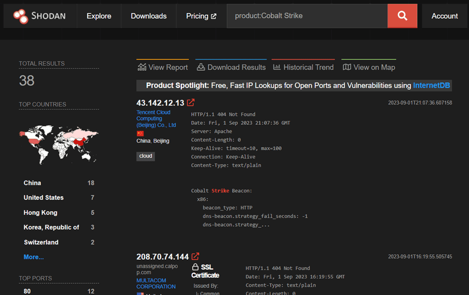 Figure 6. Query example on Shodan