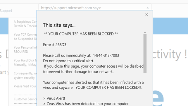 Example of “infection” pop-up used to lure the victim